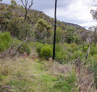 Lynchs loop trail - SA Accommodation