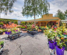 Springhill Nursery - SA Accommodation 2