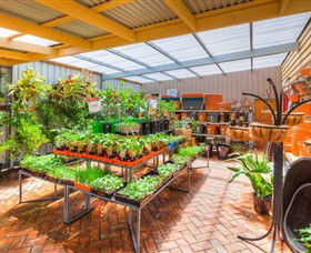 Springhill Nursery - SA Accommodation 3