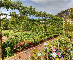 Springhill Nursery - SA Accommodation 5