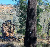 Eualdrie walking track - SA Accommodation