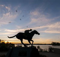 Black Caviar Statue - SA Accommodation