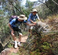 Mount Arthur Reserve - SA Accommodation