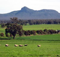The Rock Nature Reserve - SA Accommodation