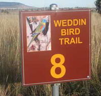 Weddin Bird Trails - SA Accommodation
