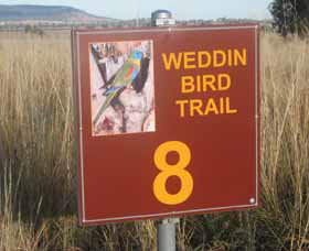 Weddin Bird Trails - SA Accommodation 0
