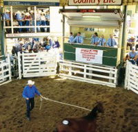 Gracemere Exhibition Complex - SA Accommodation