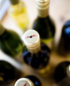 Charles Sturt University Winery Wagga Wagga - SA Accommodation 2