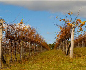 Charles Sturt University Winery Wagga Wagga - SA Accommodation 3