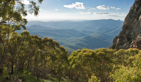 Kaputar Scenic Drive - SA Accommodation 1