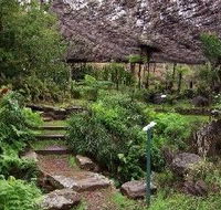Burrendong Botanic Garden and Arboretum - SA Accommodation