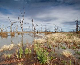 Winton Wetlands Reserve - SA Accommodation 4