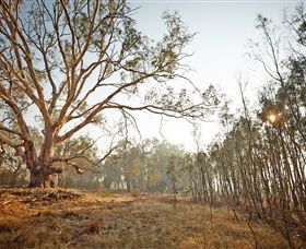 Winton Wetlands Reserve - SA Accommodation 2