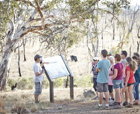 Winton Wetlands Reserve - SA Accommodation 5
