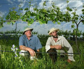 Rosnay Organic Farm And Vineyard - SA Accommodation 1