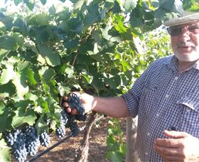 Rosnay Organic Farm And Vineyard - SA Accommodation 6