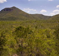 Kutini-Payamu Iron Range National Park CYPAL - SA Accommodation