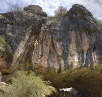 Borenore Karst Conservation Reserve - SA Accommodation