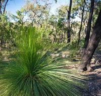 Brisbane Ranges National Park - SA Accommodation