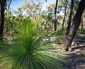 Brisbane Ranges National Park - SA Accommodation 0