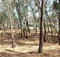 Chiltern-Mt Pilot National Park - SA Accommodation