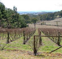 Habitat Vineyard - SA Accommodation