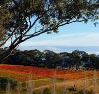 Bloodwood Estate - SA Accommodation