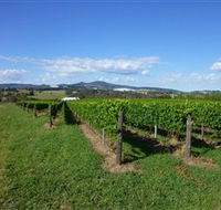 Hedberg Hill Wines - SA Accommodation