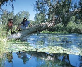 Millstream Chichester National Park - SA Accommodation 1