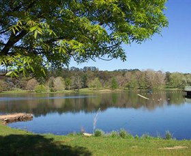 Lake Canobolas Reserve - SA Accommodation 0