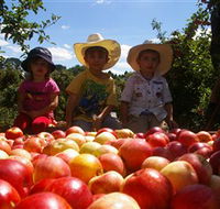 Bonny Glen Fruits - SA Accommodation