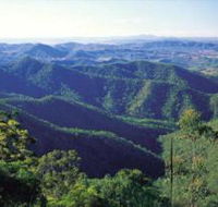 Kroombit Tops National Park - SA Accommodation