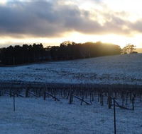 Charles Sturt University Winery - SA Accommodation
