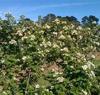 Huntley Berry Farm - SA Accommodation