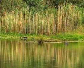 Wonga Wetlands - SA Accommodation 2