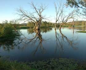 Wonga Wetlands - SA Accommodation 4
