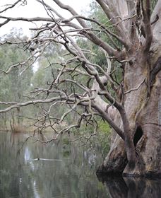 Wonga Wetlands - SA Accommodation 3