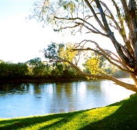 Albury - Murray River Precinct - SA Accommodation