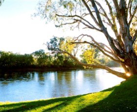 Albury - Murray River Precinct - SA Accommodation 0