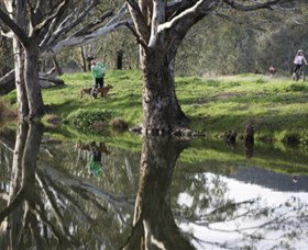 Albury - Murray River Precinct - SA Accommodation 3