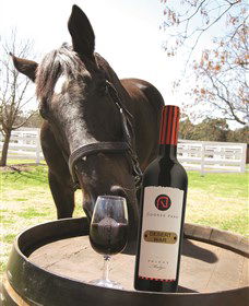 Gooree Park Mudgee - SA Accommodation 0