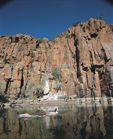 Python Pool - SA Accommodation 3