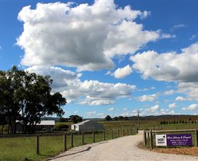Short Sheep Micro-Winery - SA Accommodation 8