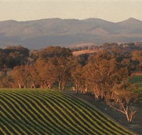 Angullong Wines - SA Accommodation