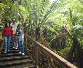 Otway Fly Treetop Adventures - SA Accommodation 0