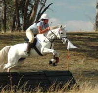 National Equestrian Centre - Kerrabee - SA Accommodation