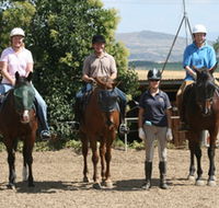 Forest Park Riding and Equitation School - SA Accommodation