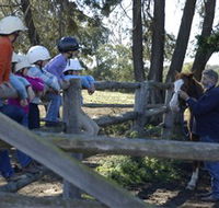 Harlow Park Horse Riding - SA Accommodation