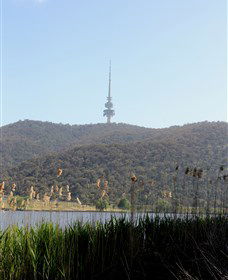 Black Mountain Peninsula - SA Accommodation 0