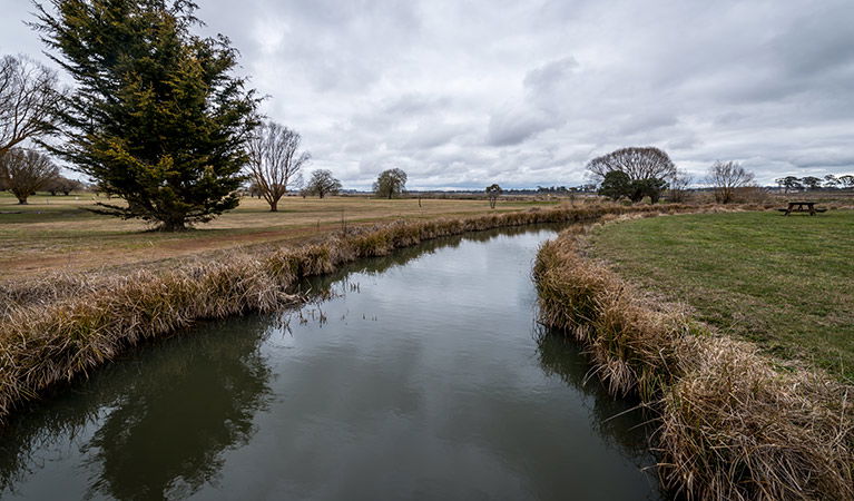 Guyra NSW SA Accommodation